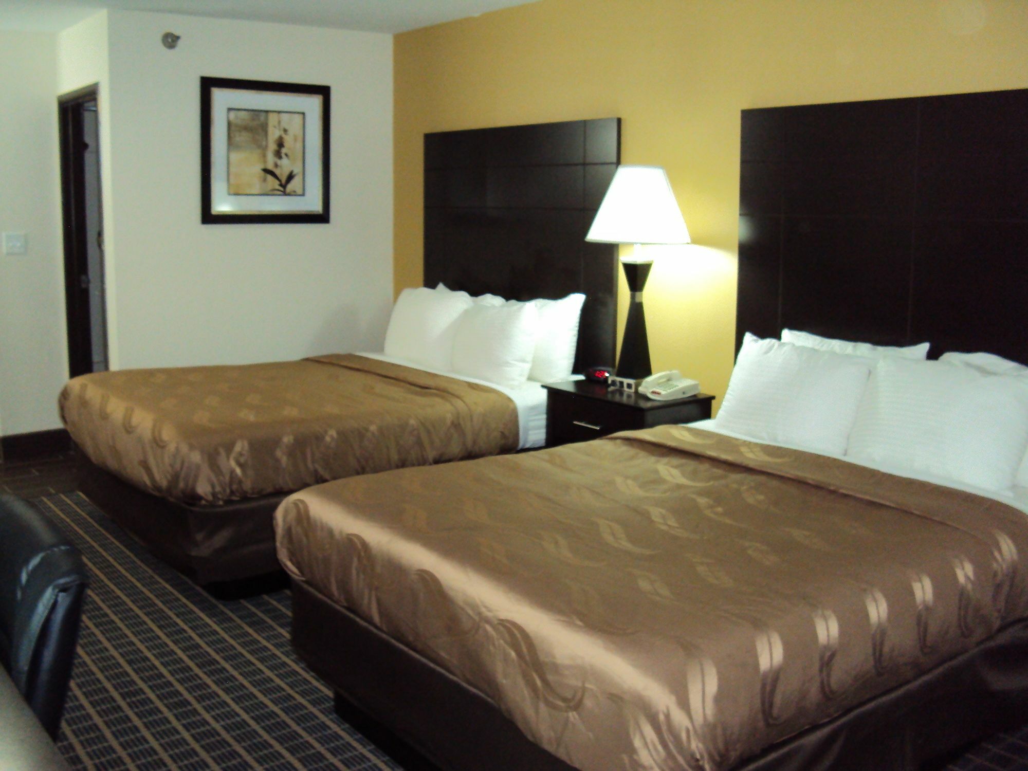 Quality Inn Carbondale University Area Exterior photo